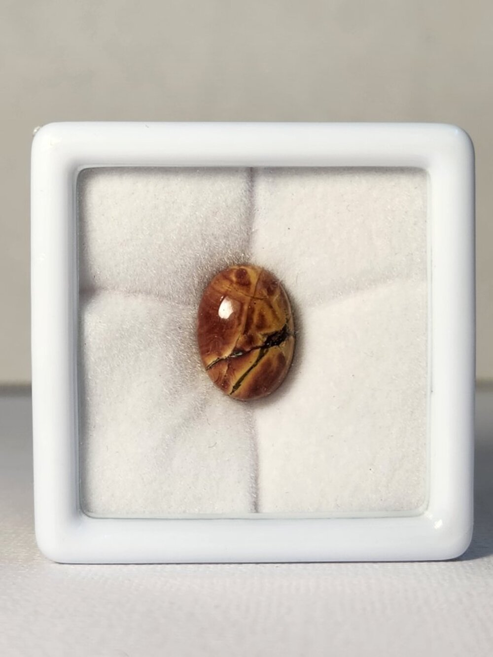 VTG Cherry Creek Jasper 5.44 CT Oval Cabochon 14x10mm Sealed Collector Gem